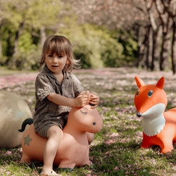 Animales Saltarines Find That Hippo - Imagen 1