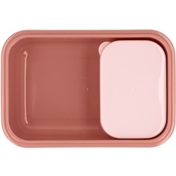Caja Almuerzo Bento Mouse Fairies - Imagen 2