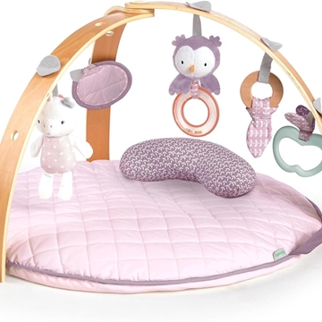 GIMNASIO ACTIVIDADES ARCO MADERA ROSA - Imagen 1