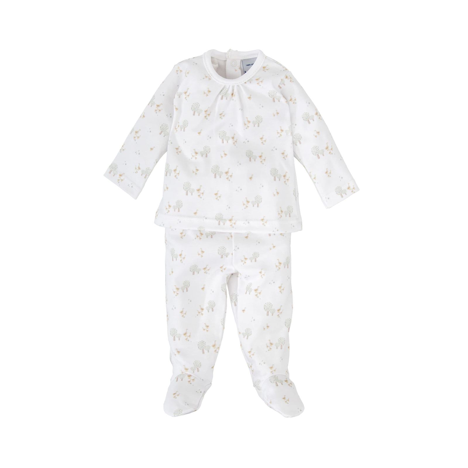 Pack Nacimiento Sendero - Imagen 2